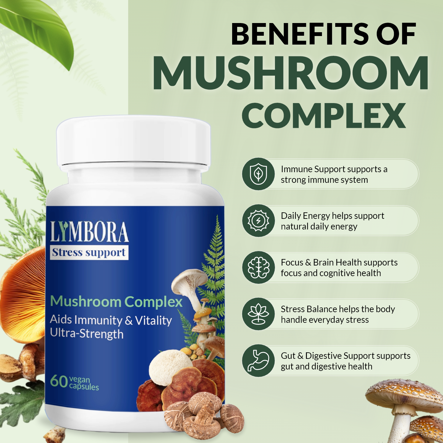 Mushroom Complex